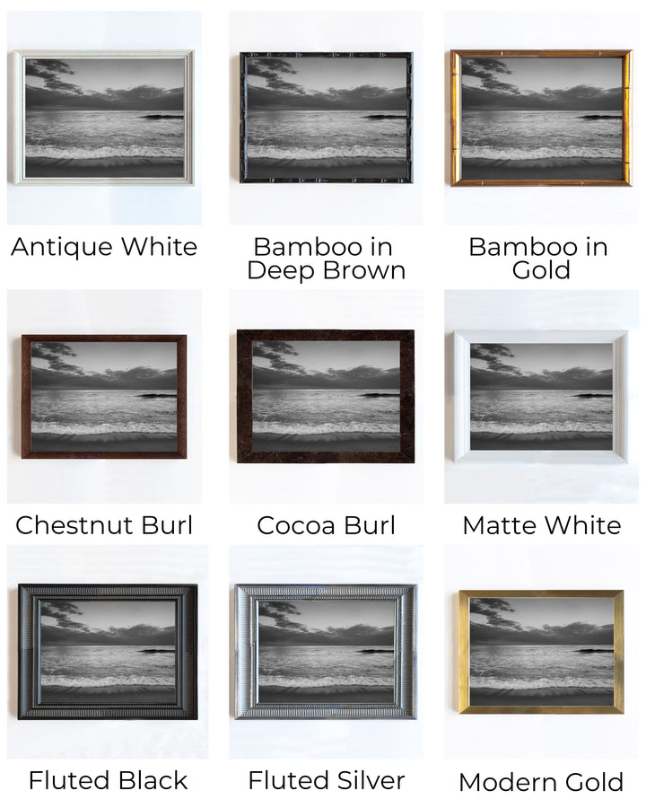 Nauset Beach | Trade