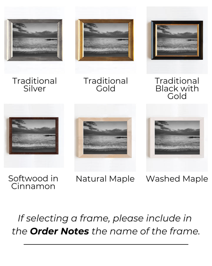 Nauset Beach | Trade