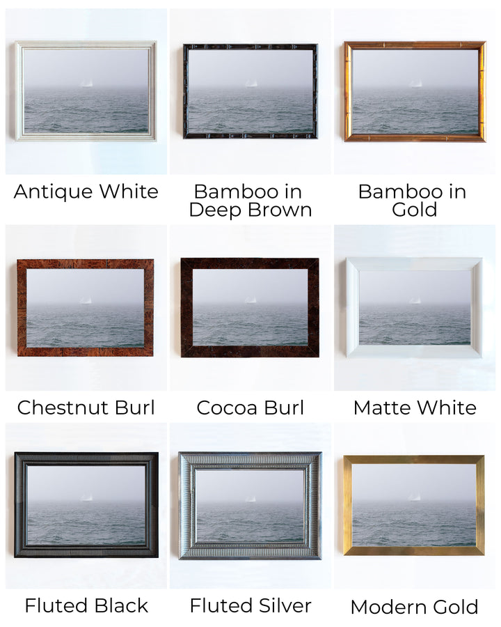 Sailing into the Sublime | Trade