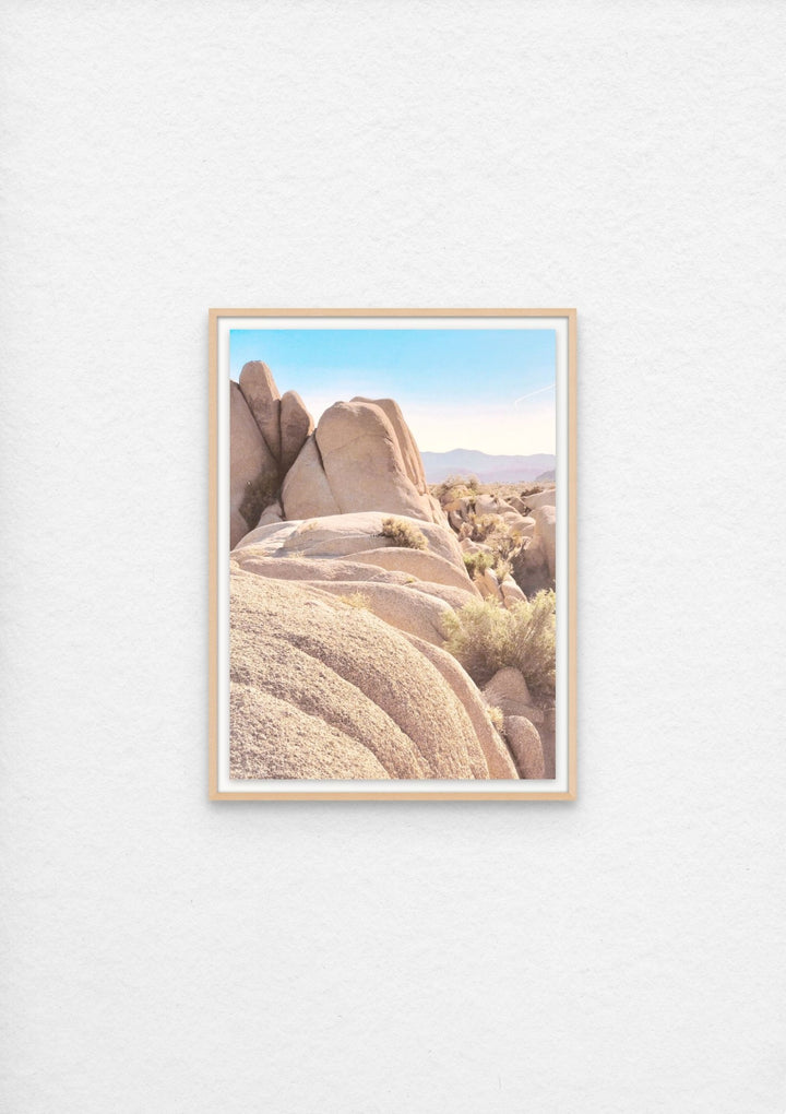 Contours, Joshua Tree