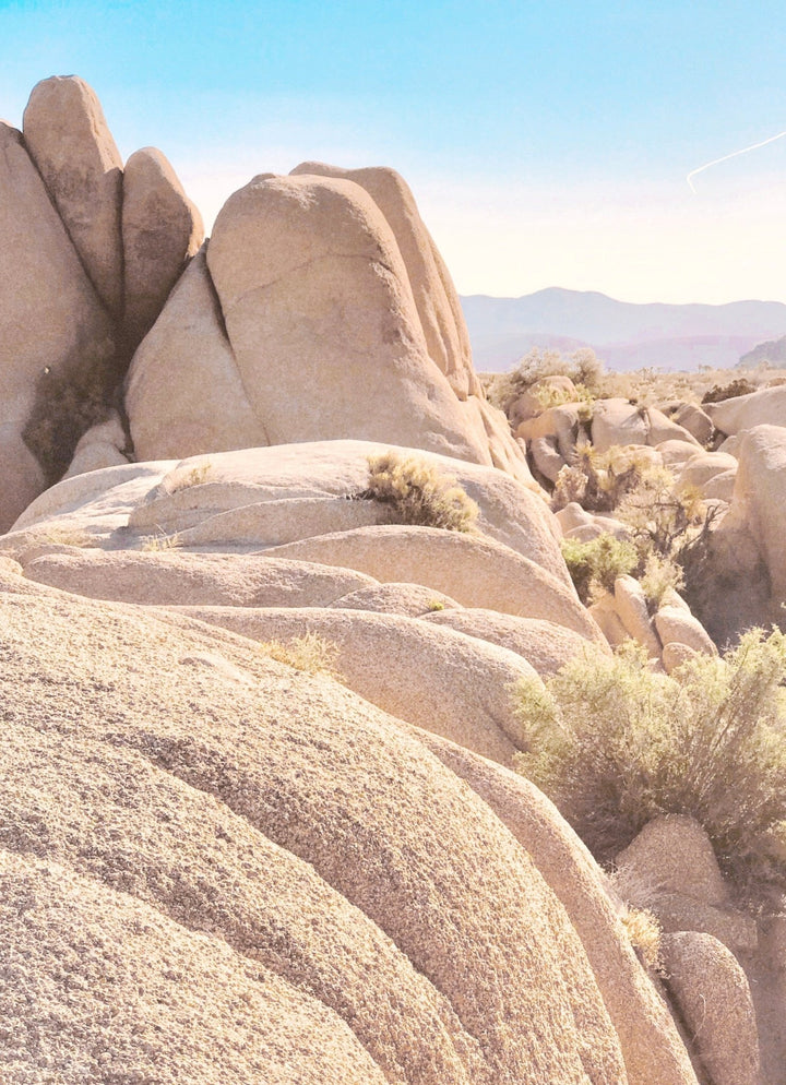 Contours, Joshua Tree