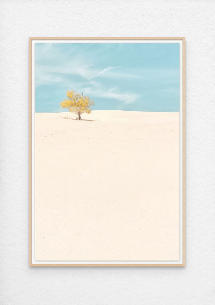 Monahans Sandhills, Texas
