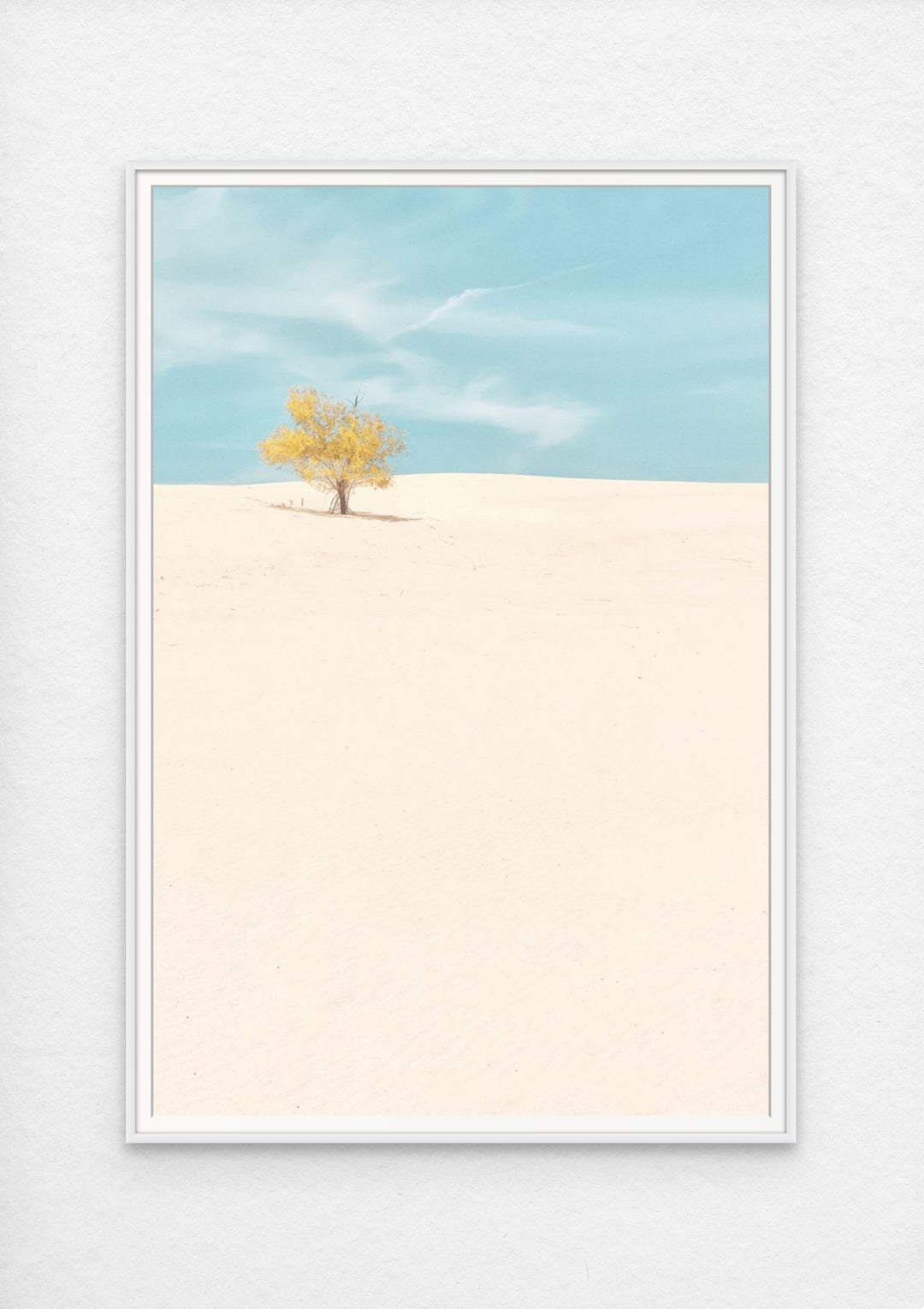 Monahans Sandhills, Texas