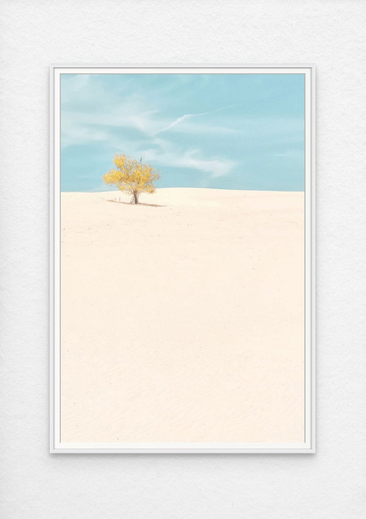 Monahans Sandhills, Texas