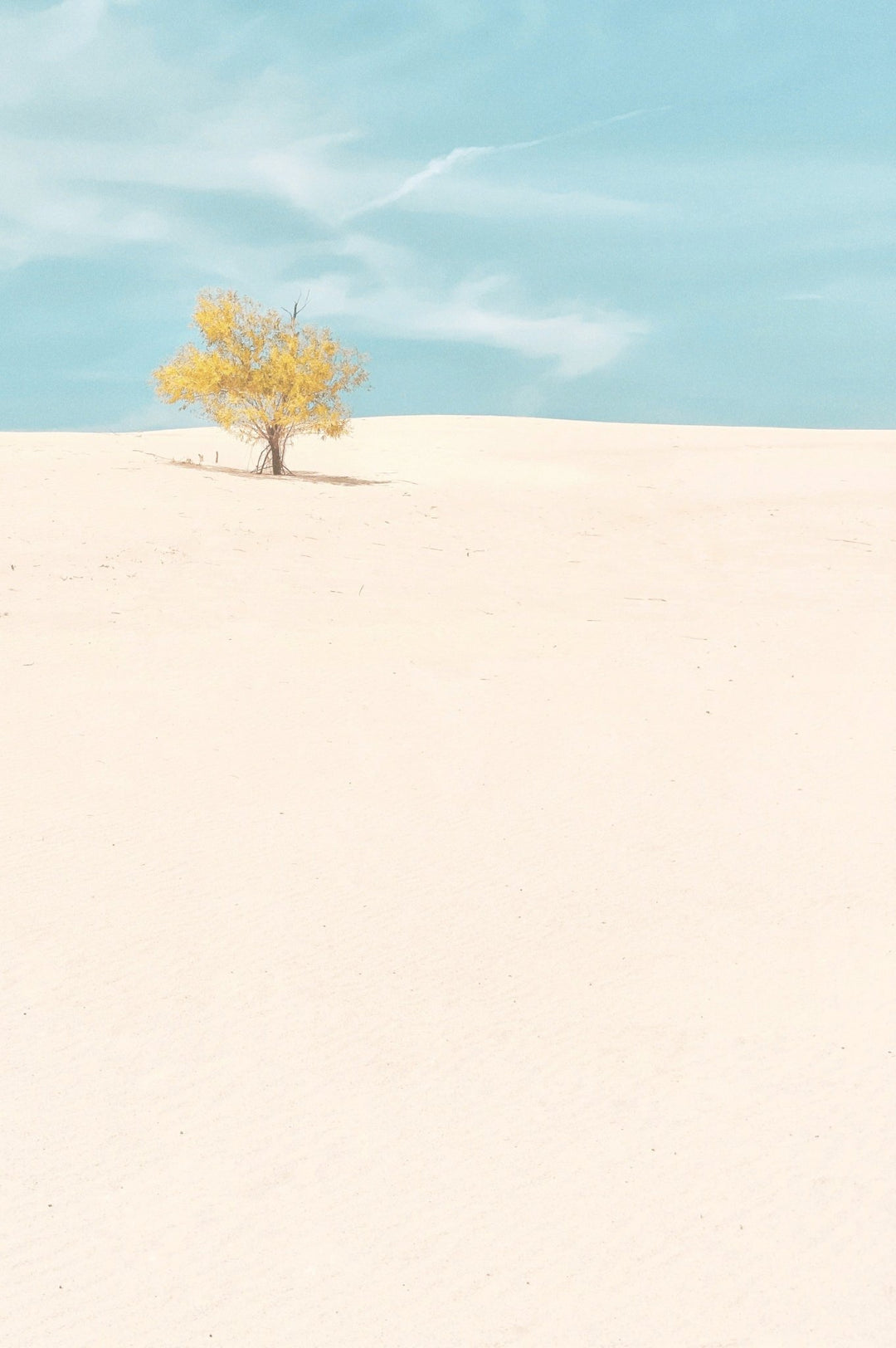 Monahans Sandhills, Texas