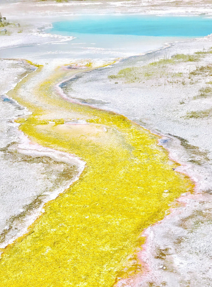 Yellow and Blue, Yellowstone