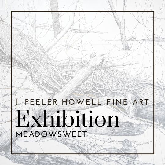 Meadowsweet | J. Peeler Howell Fine Art
