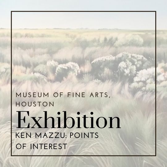 Ken Mazzu: Points of Interest | Museum of Fine Arts, Houston