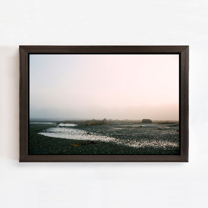 A Pink Morning | Trade