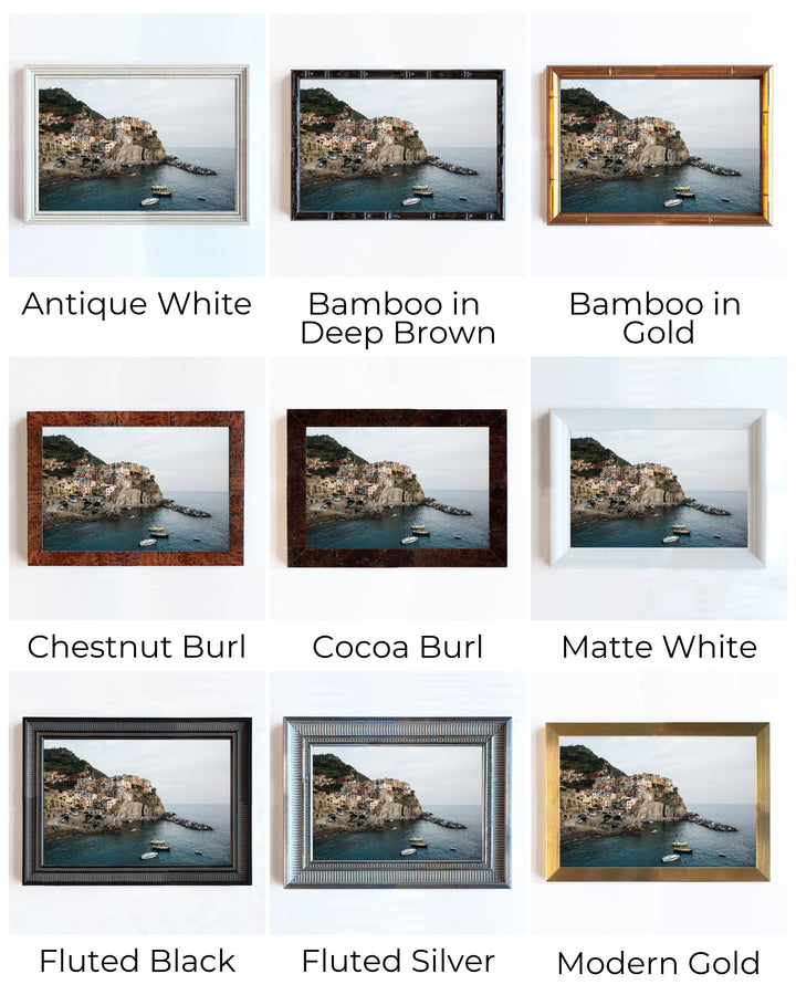 Manarola | Trade