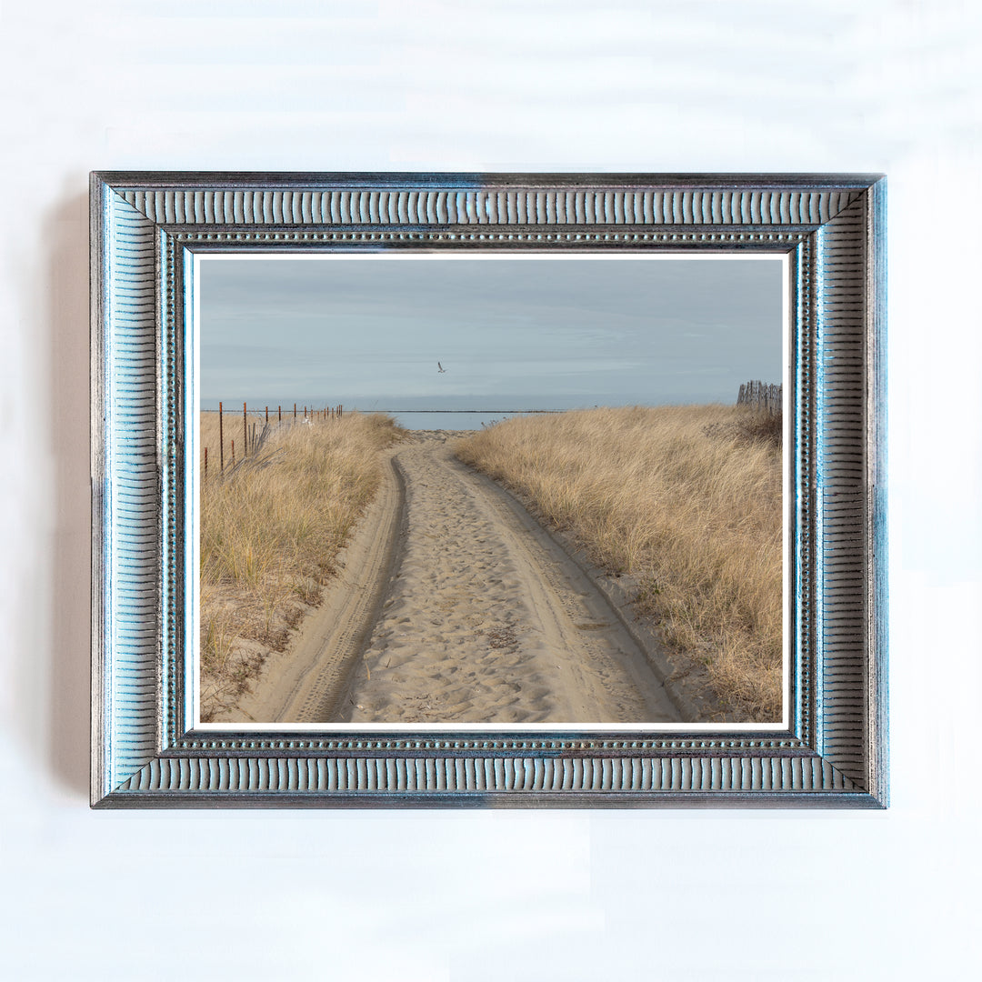 Road to the Beach, Nantucket