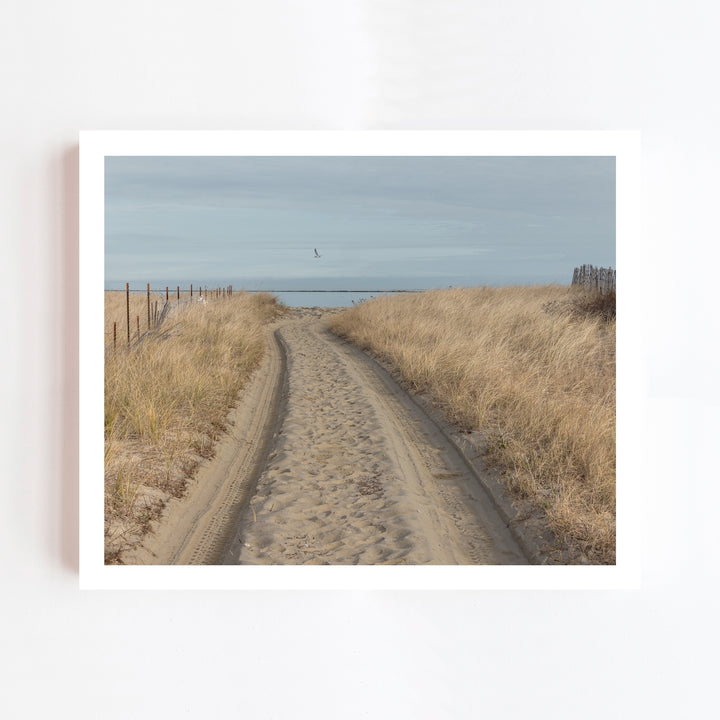 Road to the Beach, Nantucket