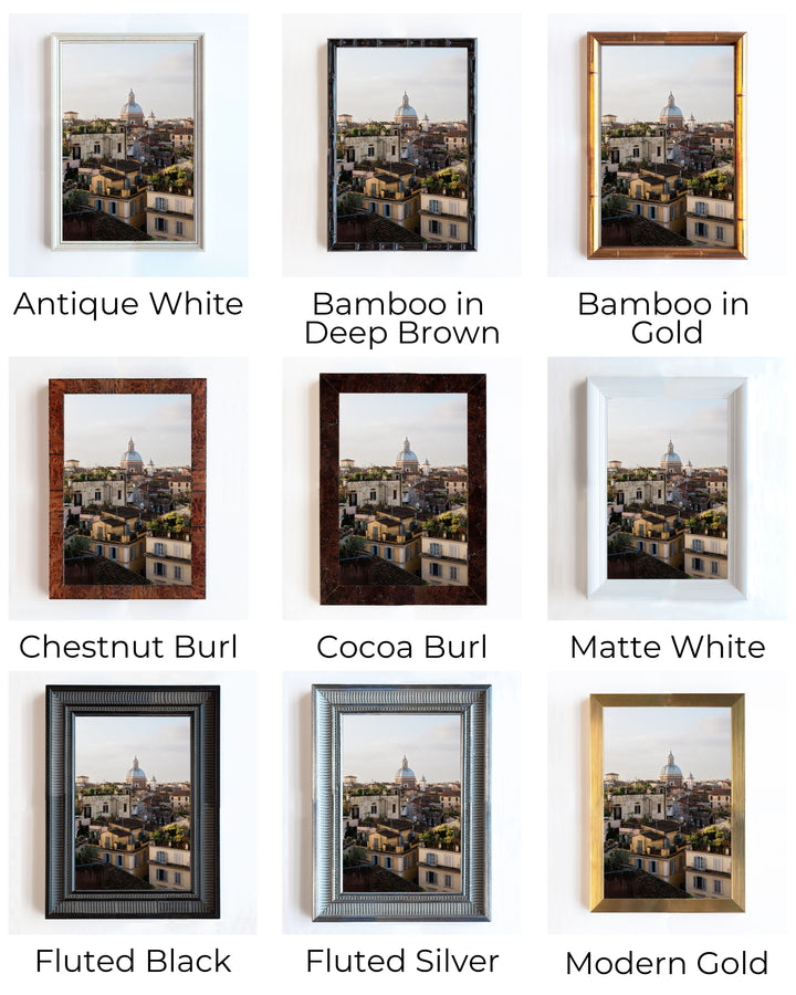 Roof View | Trade