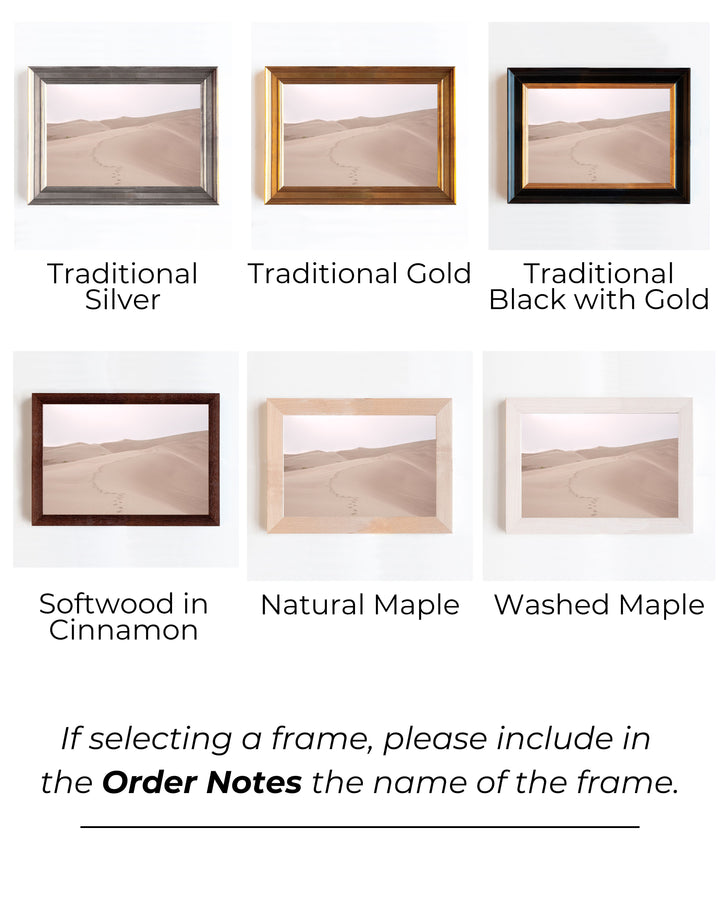 Sand Dunes | Trade