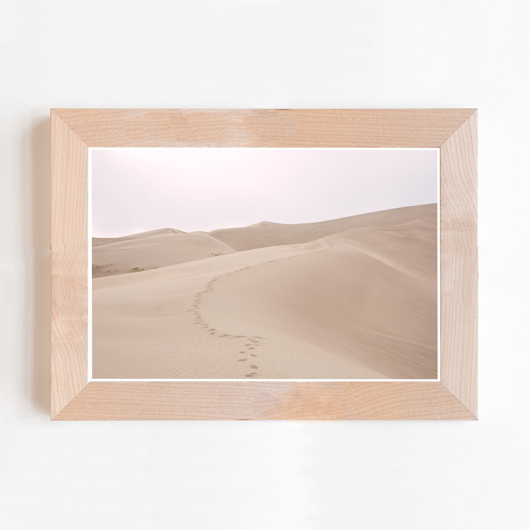 Sand Dunes | Trade
