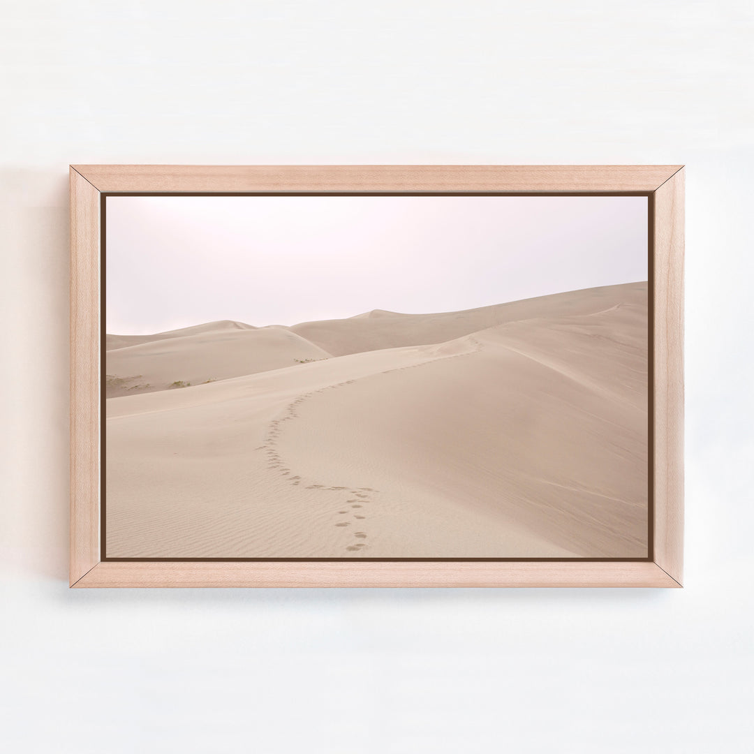 Sand Dunes | Trade