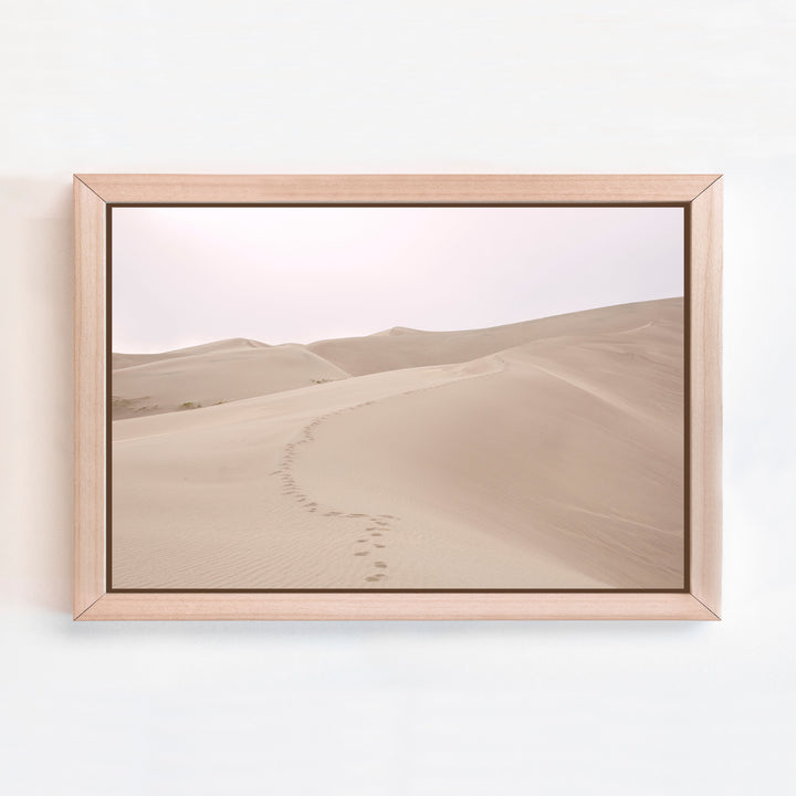 Sand Dunes | Trade