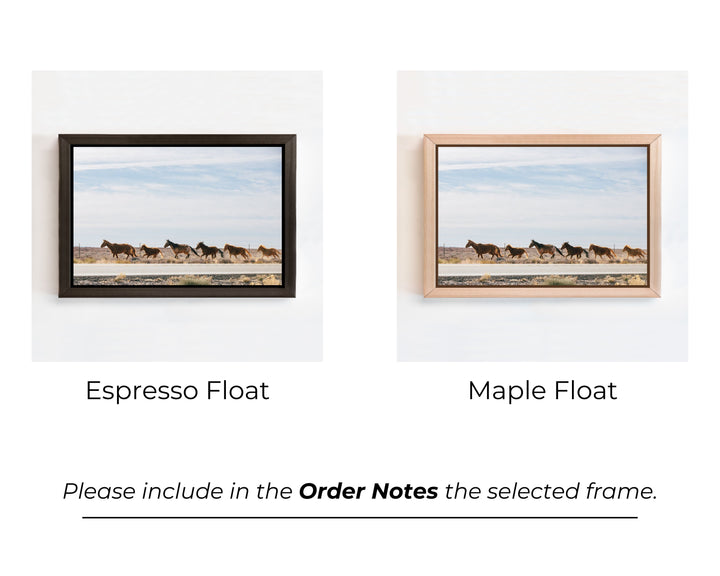 Wild Horses | Trade
