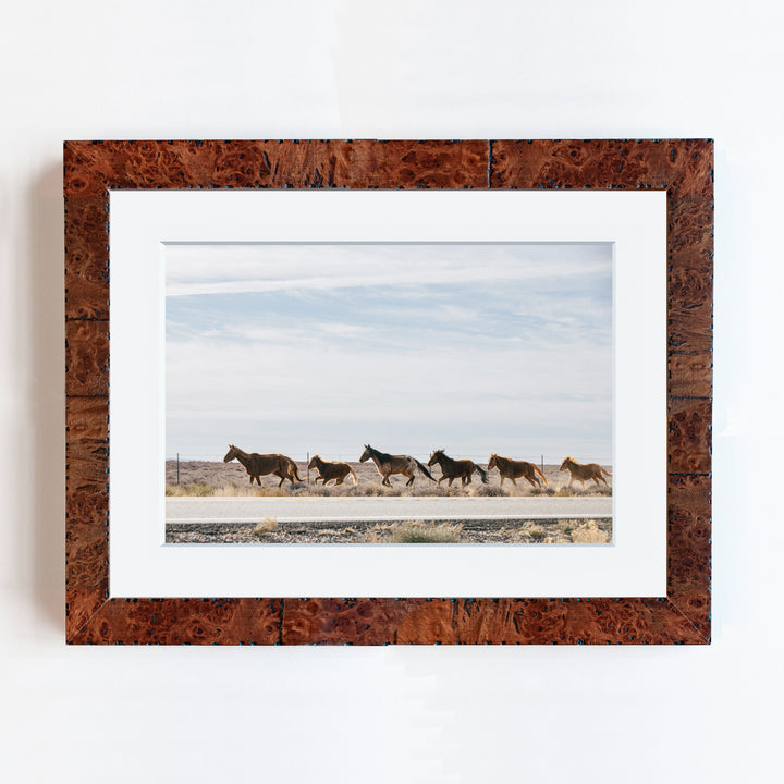 Wild Horses | Trade