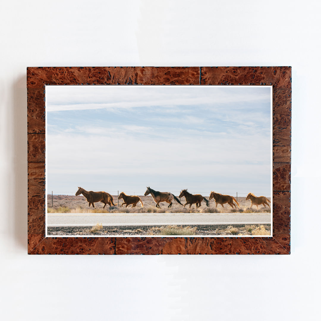 Wild Horses | Trade