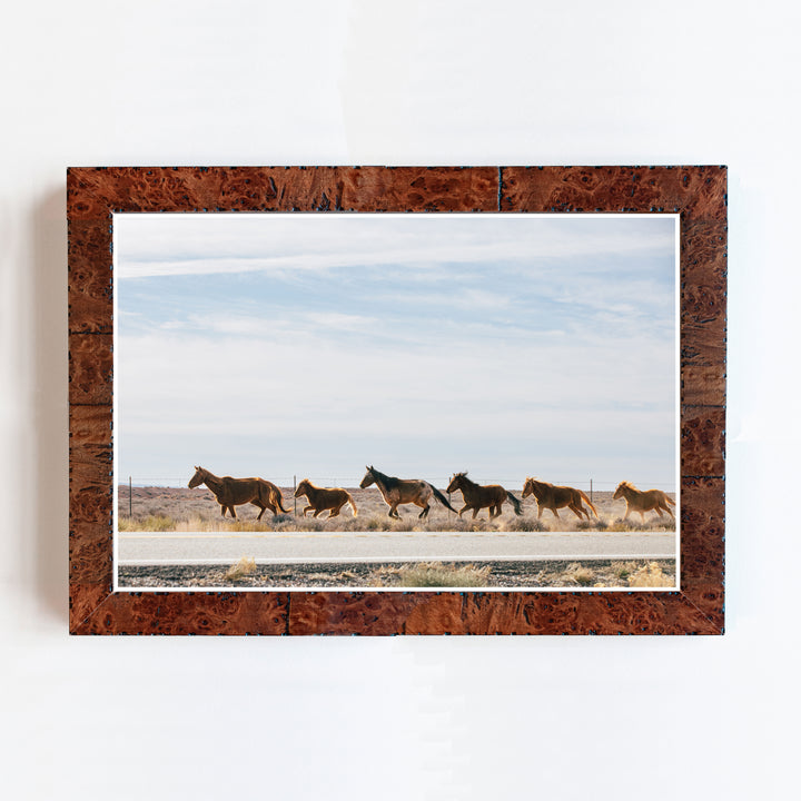 Wild Horses | Trade