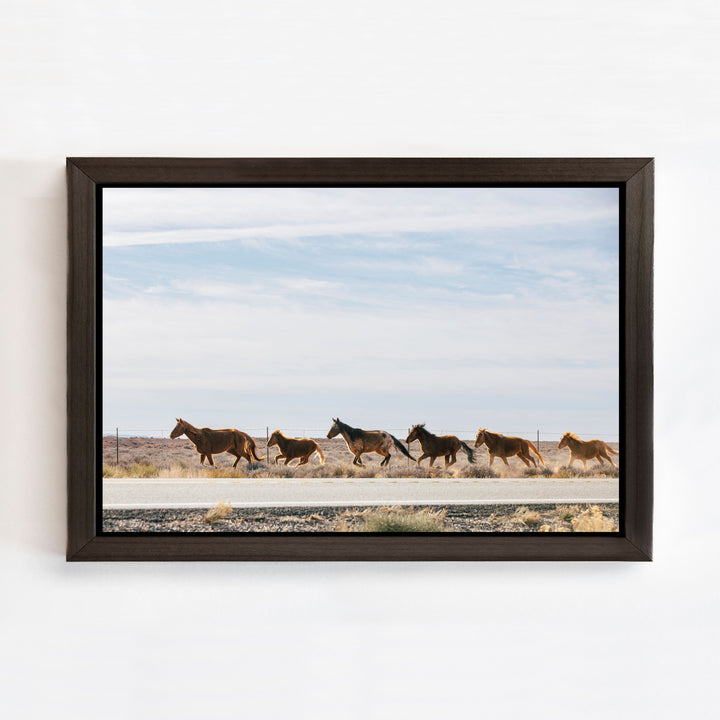 Wild Horses | Trade