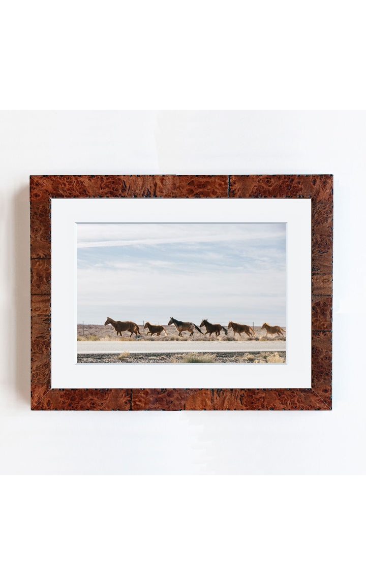 Wild Horses | Trade