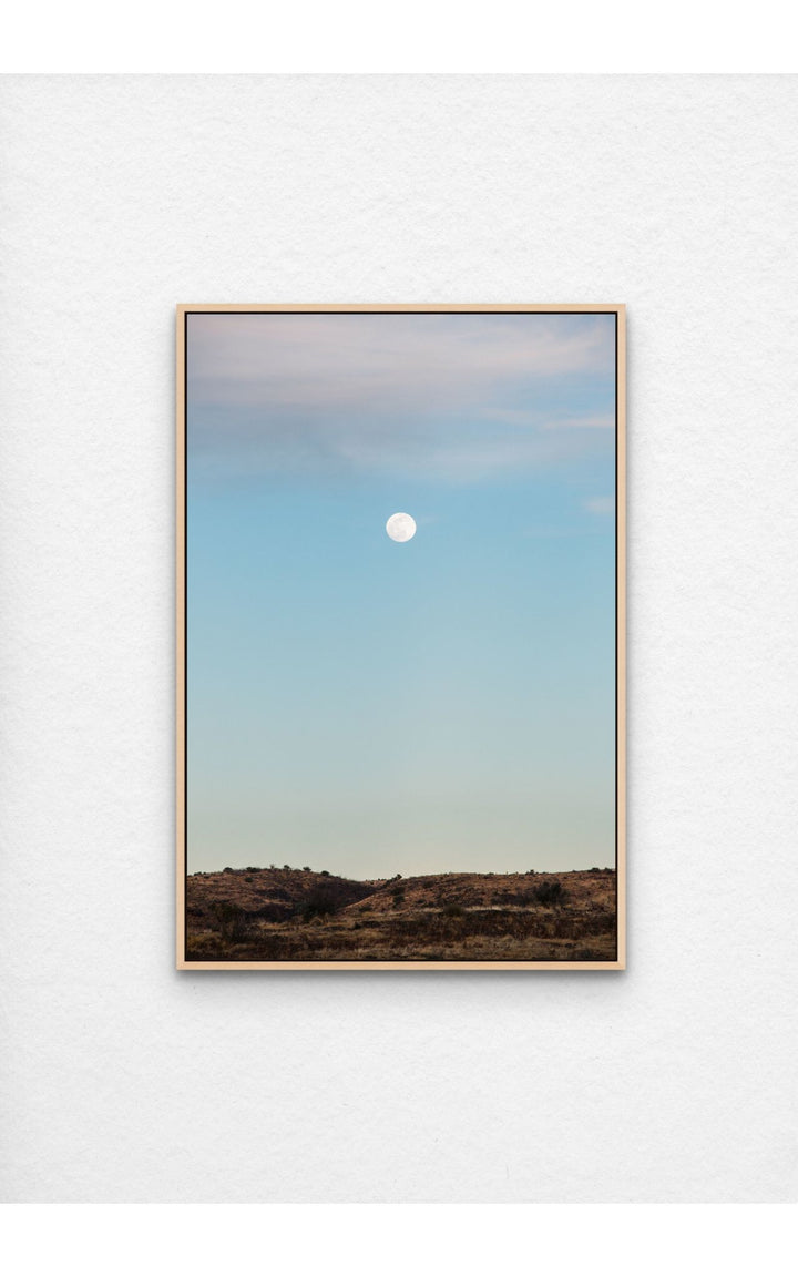 Morning moon above the vast, golden desert landscape of Marathon, Texas.