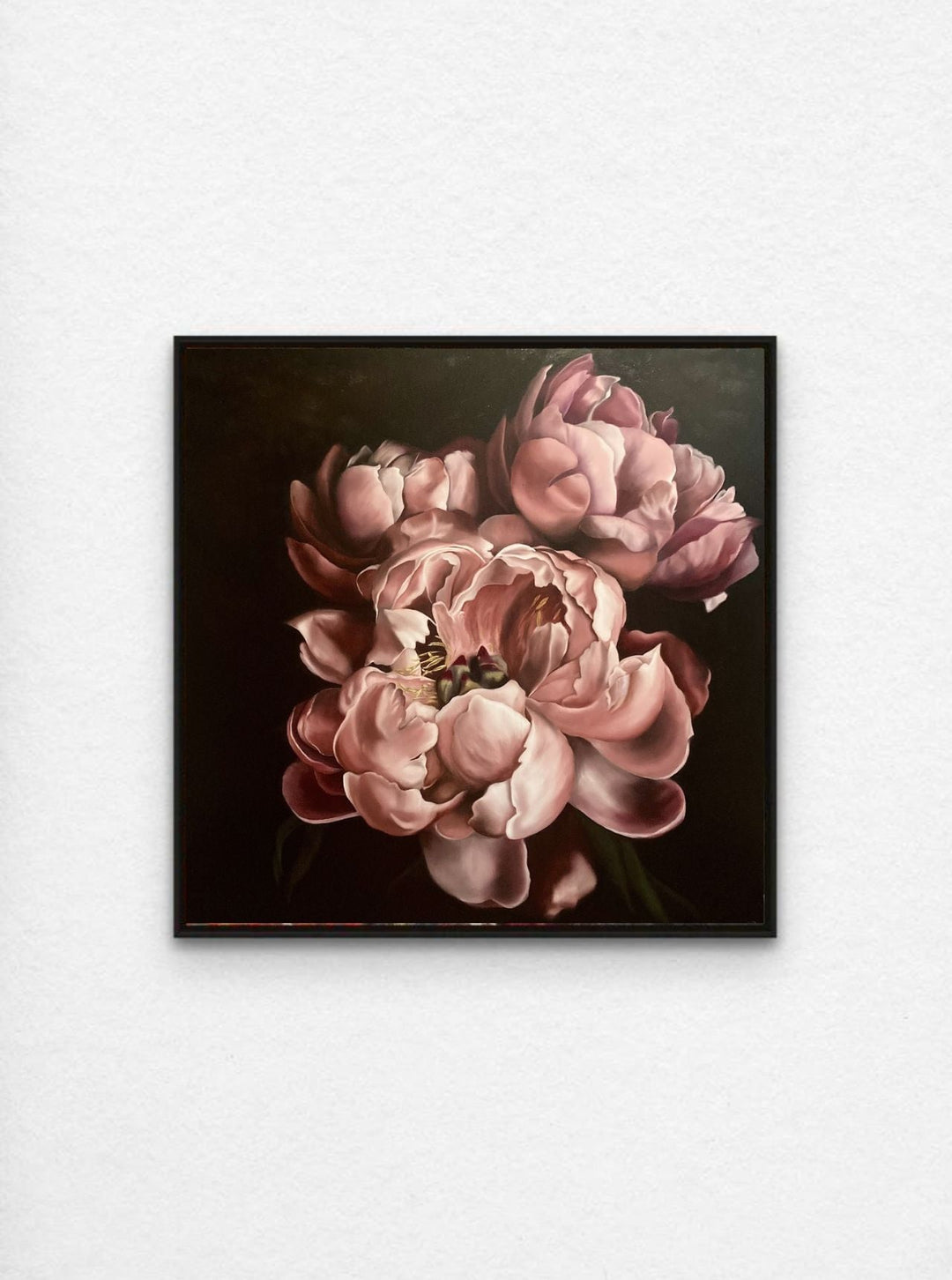 Medium Pink Peonies