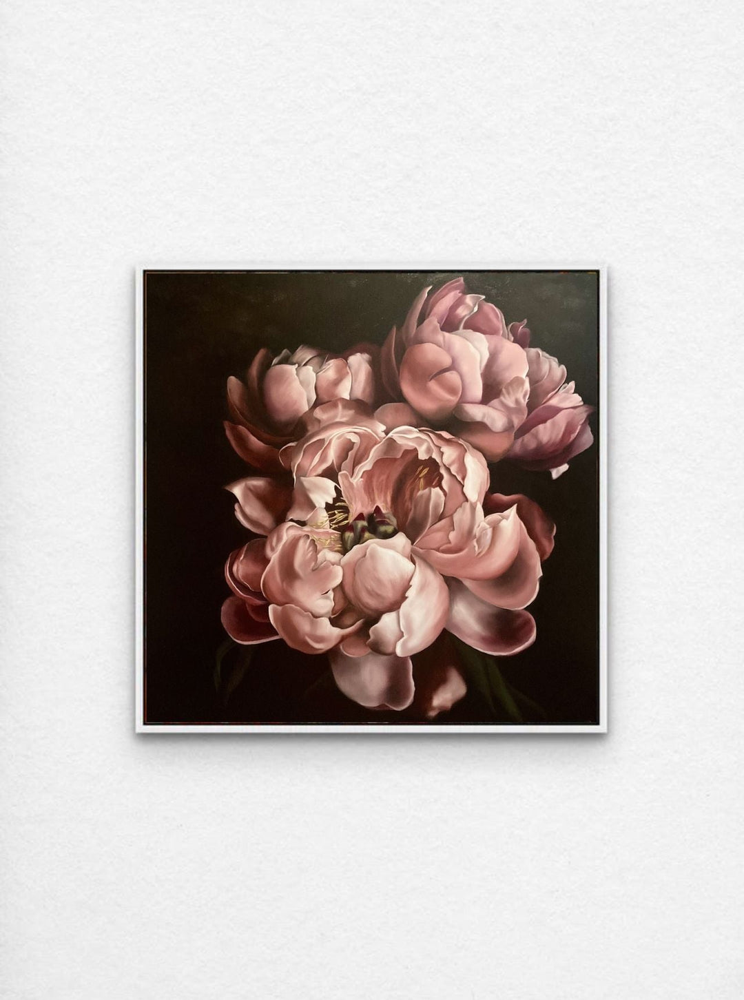 Medium Pink Peonies