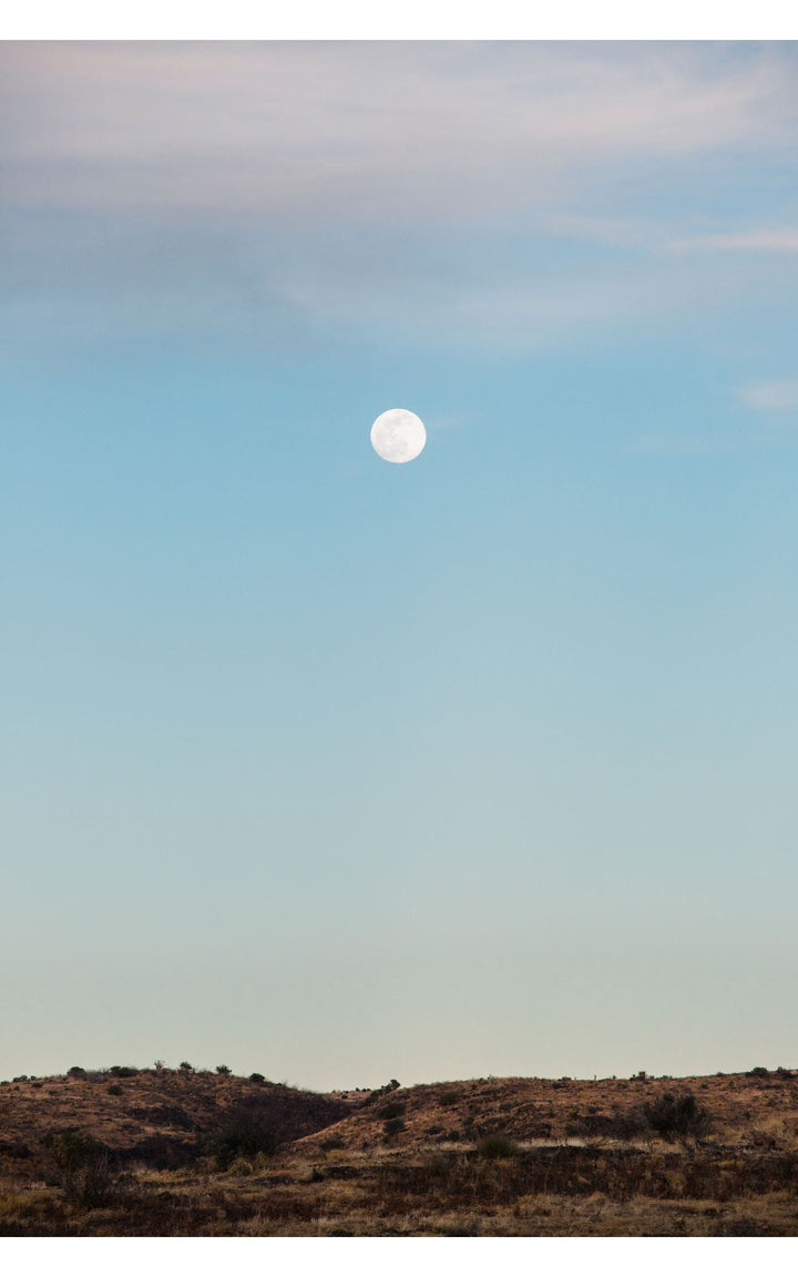 Morning moon above the vast, golden desert landscape of Marathon, Texas.