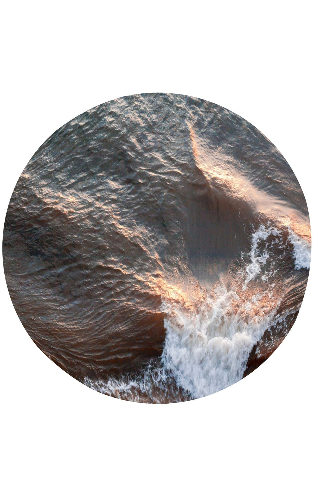 Gentle ripples evolve into a whitecapped wave during golden hour.