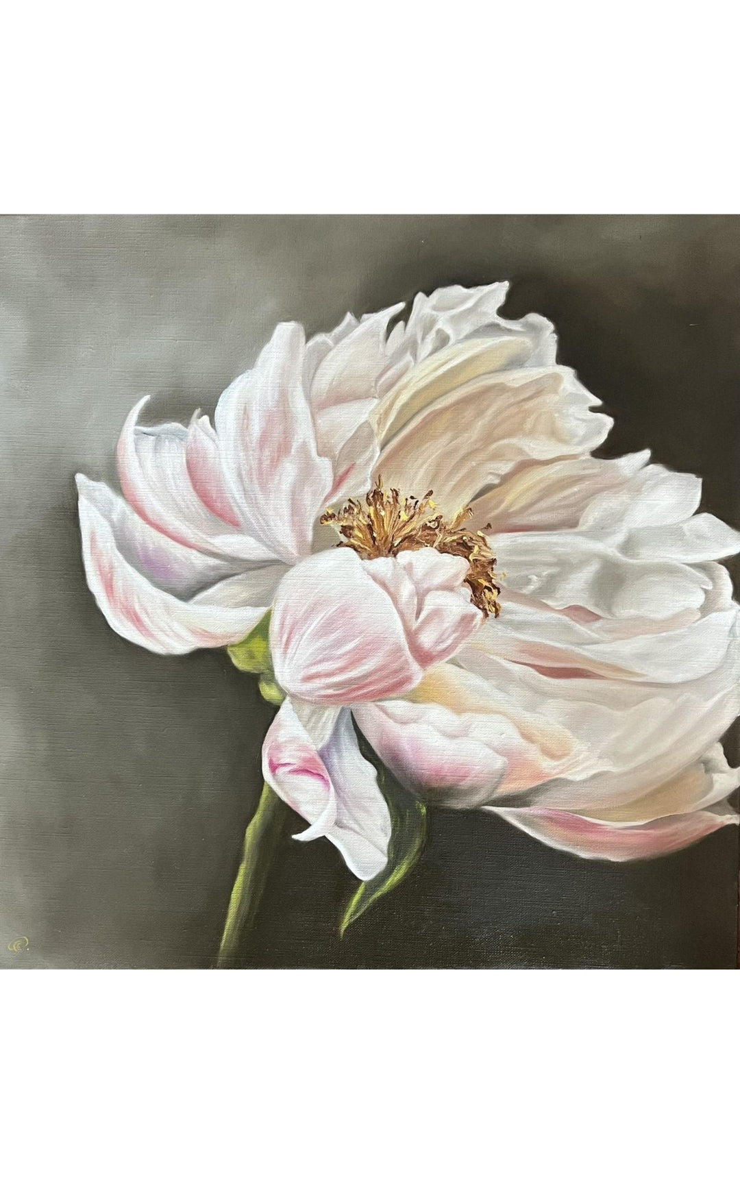 light pink peony realistic flower oil painting