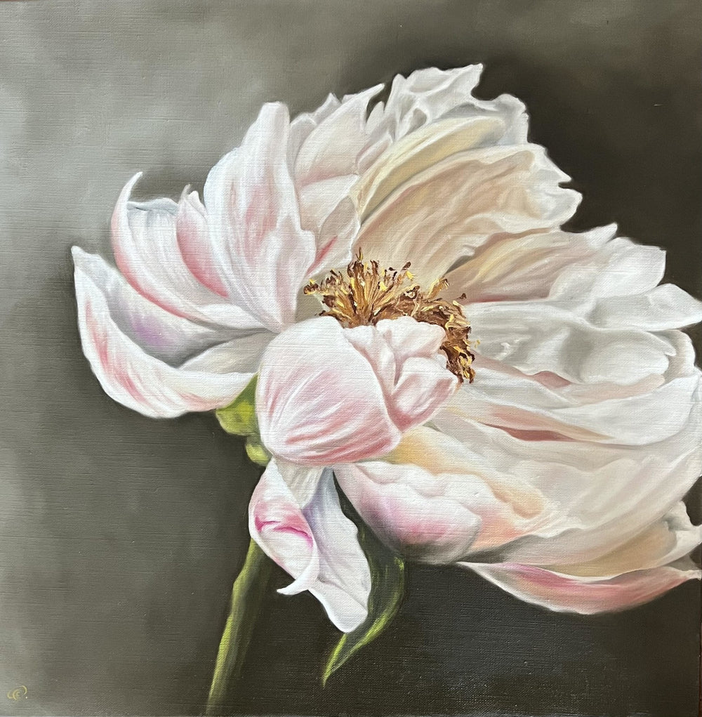 Single peony stem painting oil on linen canvas with light pink hues against a dark background titled Light Pink Peony #3  - Artly International