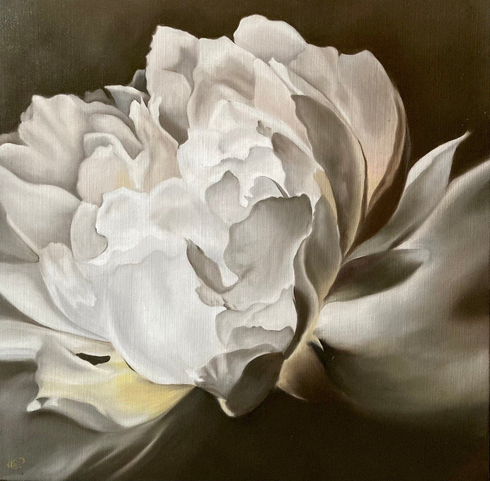 Oil flower painting of Light Pink Peony #5. Image is of a white peony against a dark background - Artly International