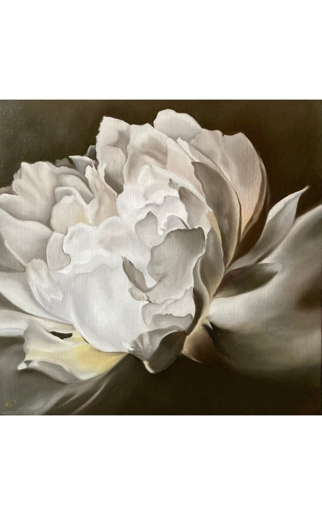 light peony oil painting on linen