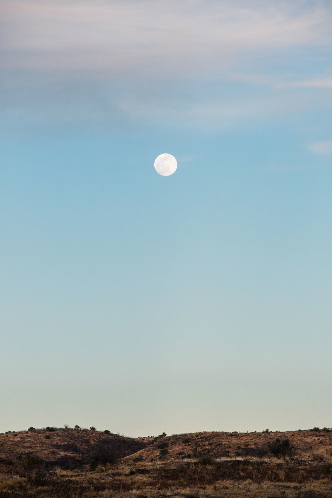 Morning moon above the vast, golden desert landscape of Marathon, Texas.