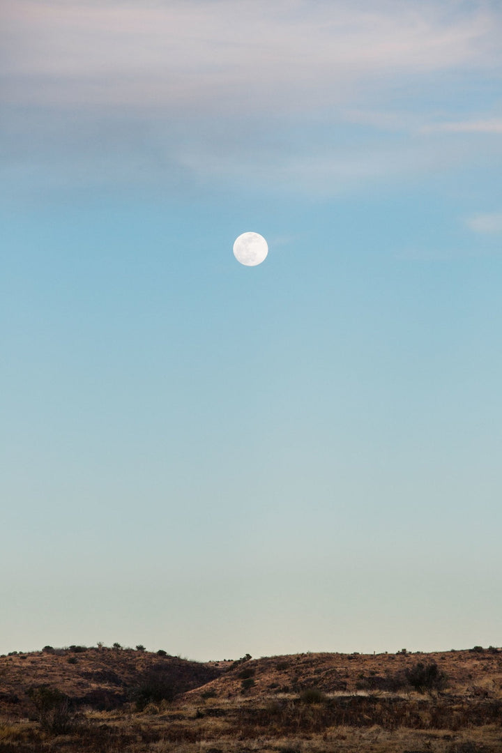 Morning moon above the vast, golden desert landscape of Marathon, Texas.