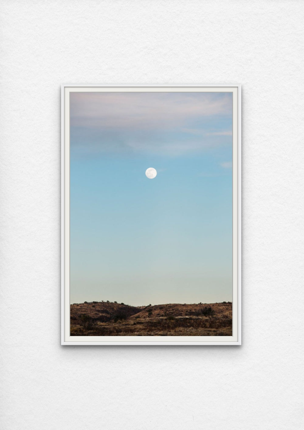 Morning moon above the vast, golden desert landscape of Marathon, Texas.