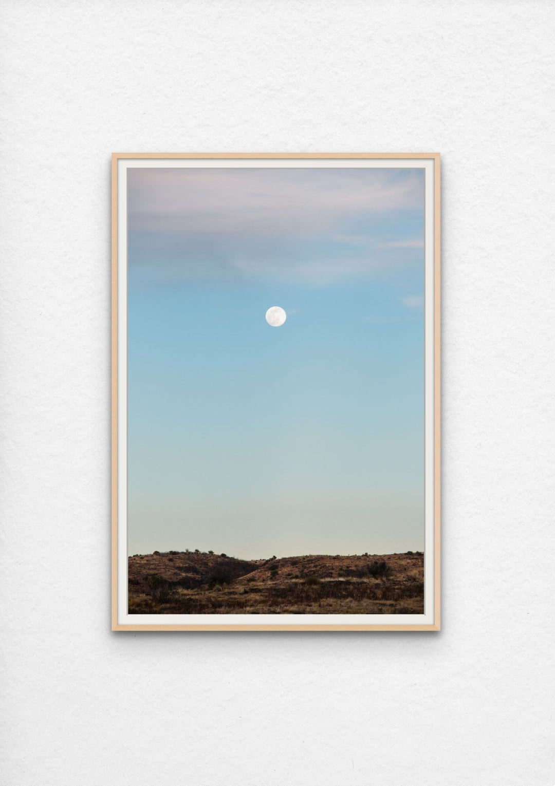 Morning moon above the vast, golden desert landscape of Marathon, Texas.