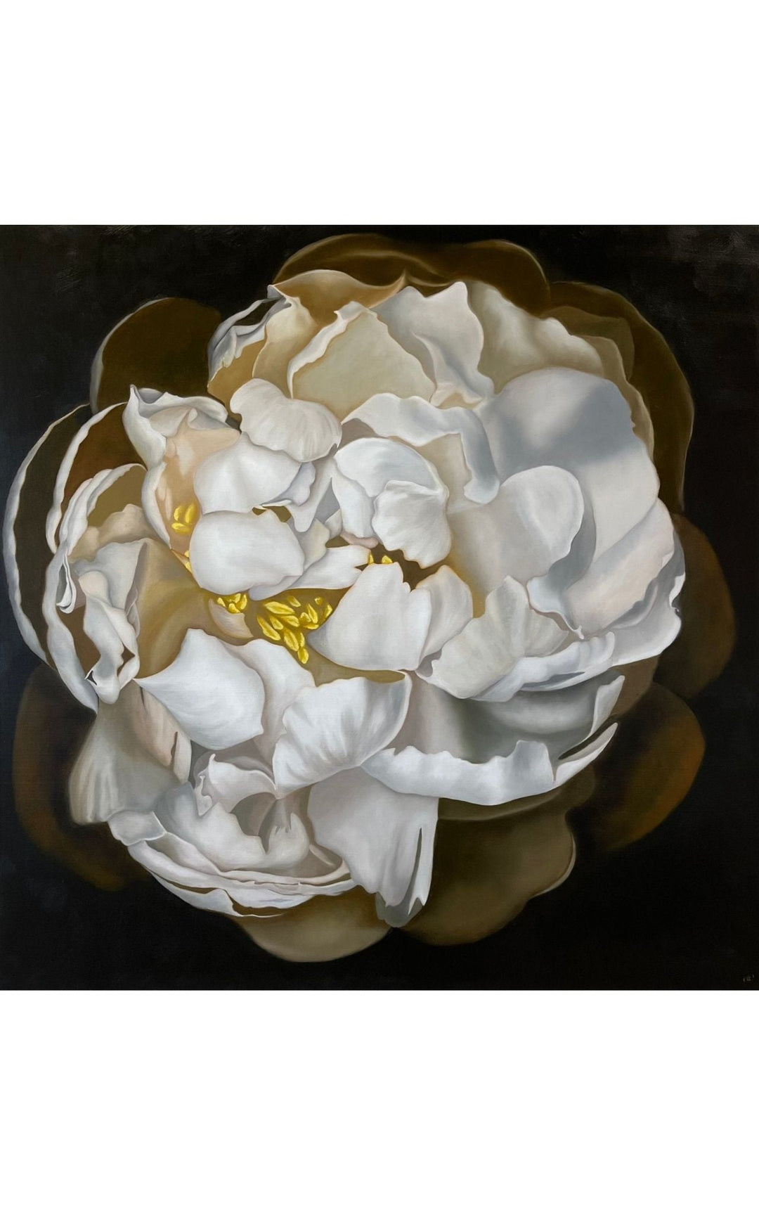 white peony floral painting