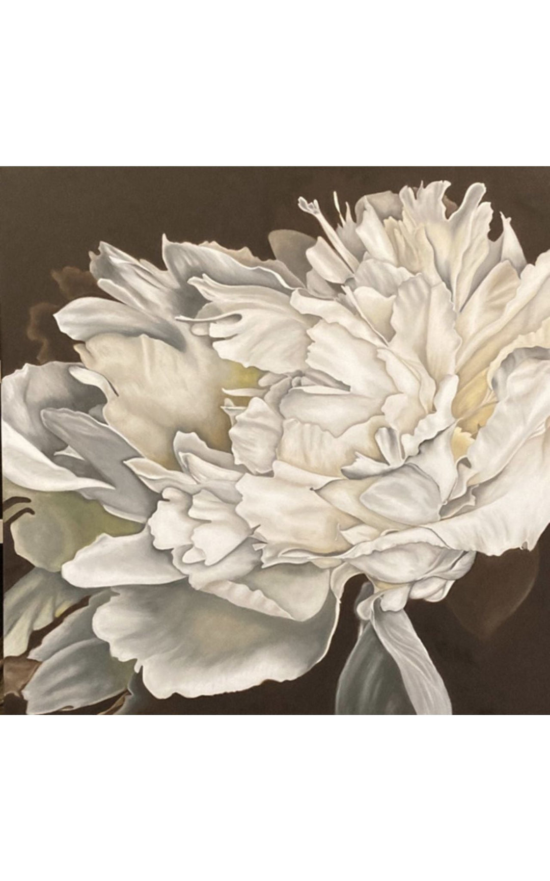 realistic white peony painting