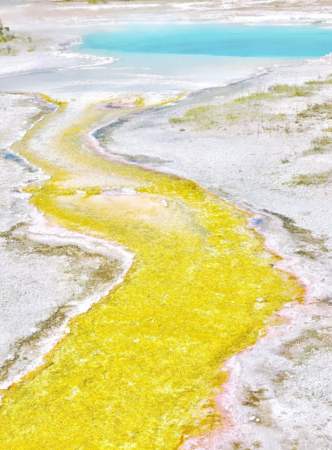 Yellow and Blue, Yellowstone